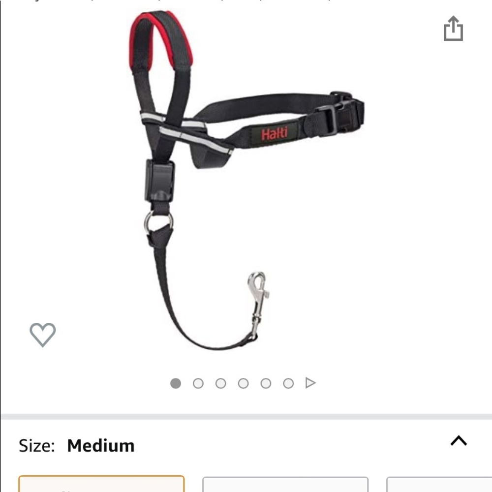 Halti dog head halter